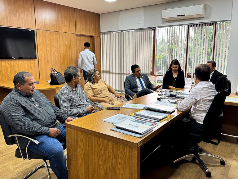 Prefeitura de Nova Olinda busca liberação de recursos para implantação de abatedouros de aves, bovinos e suínos