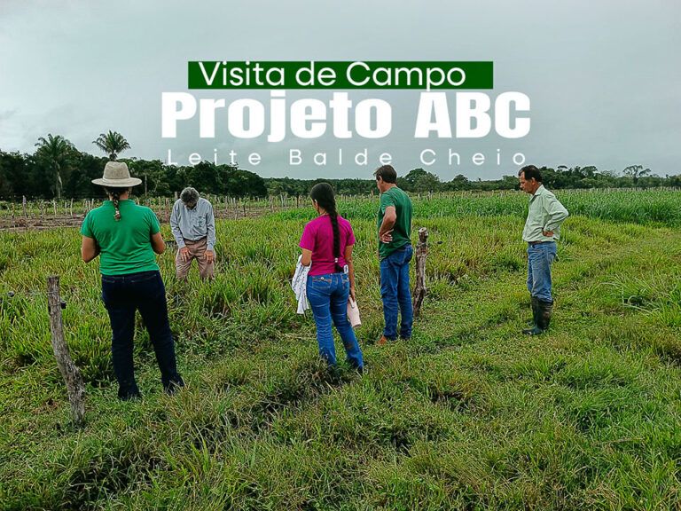 Prefeitura de Nova Olinda, Por Meio da Secretaria de Agricultura, Participa de Visita de Campo do Projeto ABC Leite Balde Cheio